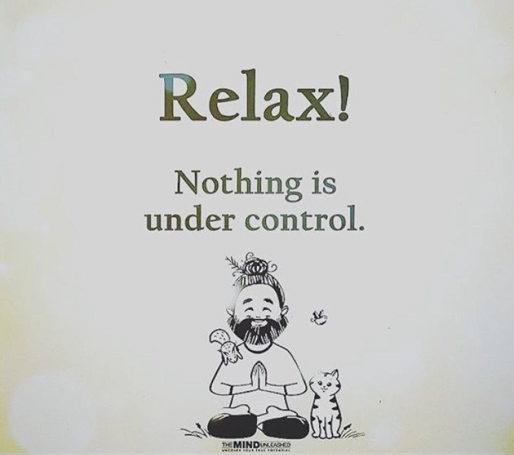 person meditating with animals